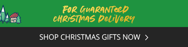 Christmas Delivery